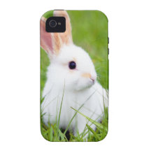 White Rabbit Vibe iPhone 4 Cases