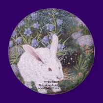 White Rabbit, White Rabbit Darlene P. Coltrain... magnets