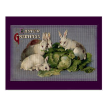 White Rabbits and Giant Cabbage Vintage Easter Post Card