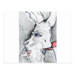 White Rabbits Mask Postcard