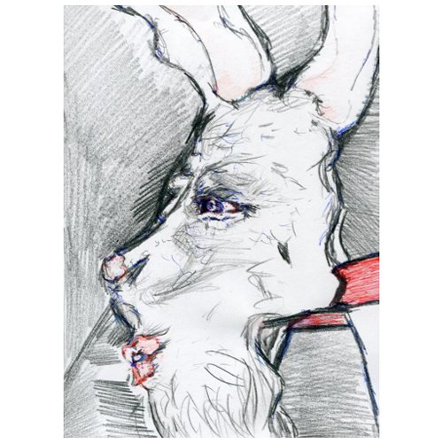 White Rabbits Mask zazzle_postcard
