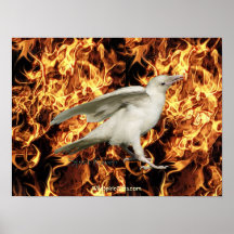 White Raven & Flames Art Poster