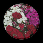 White, Red and Pink Dianthus Magnet