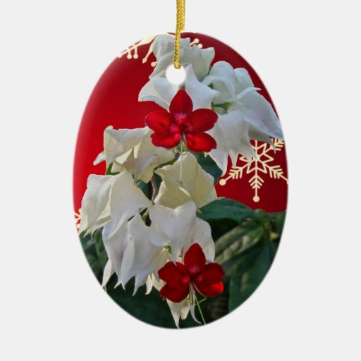 white red fuschia christmas ornament zazzle white red fuschia christmas ornament zazzle