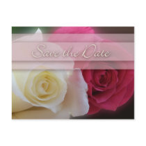 White & Red Roses Save The Date Postcard by twoheartsshoppe White & Red Roses Save The Date Postcard