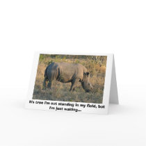White Rhino cards