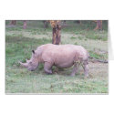 White Rhino cards