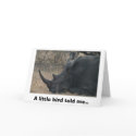 White Rhino gets Advice from a Little Bird, A l... cards