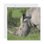 White Rhino Invitations