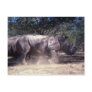 White Rhino Postcard