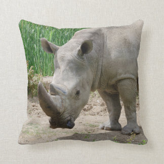 rhino pillow pet