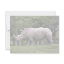 White Rhinos invitations by animalpark White Rhinos invitations