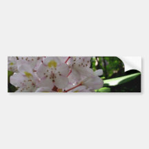 White Rhodendrons Bumper Sticker