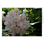 White Rhodendrons Card