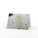 White Rhododendron | Happy Birthday cards