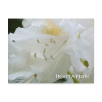 White Rhododendron | Invitation Postcard