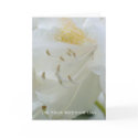 White Rhododendron | Wedding Congratulation cards