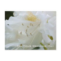 White Rhododendron | Wedding Congratulation postcards