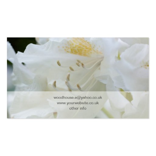 White Rhododendron | Weisse Rhododendron Business Card (back side)