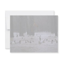 White River National Wildlife Refuge, Arkansas Personalized Invitations