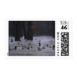 White River National Wildlife Refuge, Arkansas Stamp