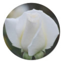 White Romance Stickers
