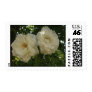 white rose1 stamp