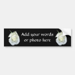 White Rose #1 Bumper Stickers
