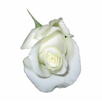 White Rose #1 Photo Cut Outs
