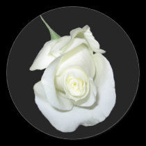 White Rose #1 stickers