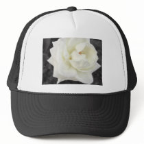 White Rose 4 Perfection hats by LivingNature White Rose 4 Perfection hats