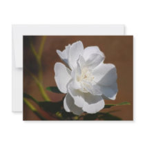 White Rose and meaning Custom Invitations