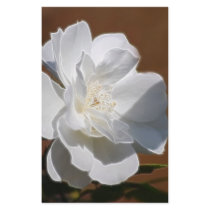 White Rose and meaning Stationery Paper