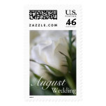 White Rose • August Wedding Stamp