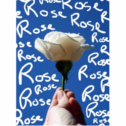 White rose, blue back, Rose written in white Acrylic Cut Outs