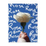White rose, blue back, Rose written in white Post Card