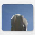 White rose bud backlit against blue sky mouse pads