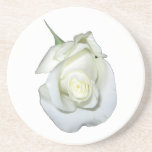 White rose bud coaster