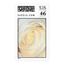 White Rose bud Postage