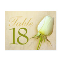 White rose bud wedding table number 10-39 postcard