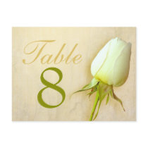 White rose bud wedding table number 1-9 postcard