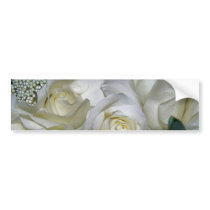 White Rose_ Bumper Sticker