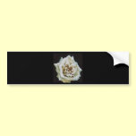White Rose bumper stickers