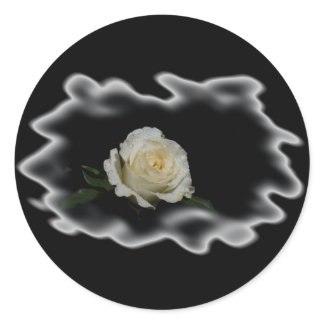 White Rose Burned Edges zazzle_sticker