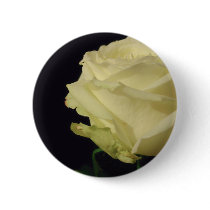 White Rose buttons
