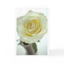 White Rose cards