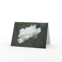 white rose cards by RLMdesignes white rose cards