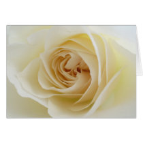 White Rose Card 001