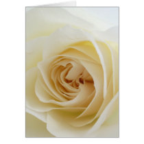 White Rose Card 002
