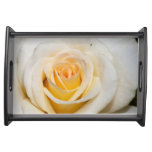 White Rose close-up Serving Platter